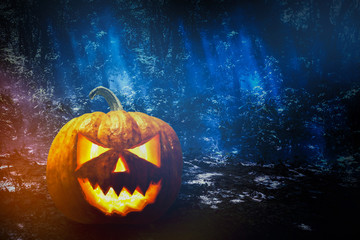 Halloween pumpkin In a mystic night forest