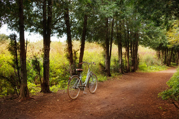 Fototapeta na wymiar Beautiful bike on the forest road in autumn