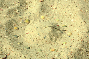 sundial on the beach sand