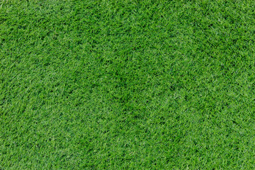 Green grass field, texture background