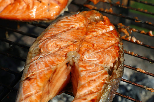 Salmon fish steak barbecue grill cooking close up