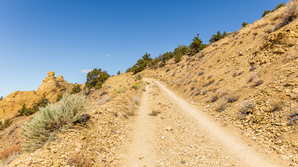 The road among the dry grass and bushes. Smith Rock state park, Oregon