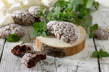 Chocolate-mint cookies and powdered sugar on a wooden background