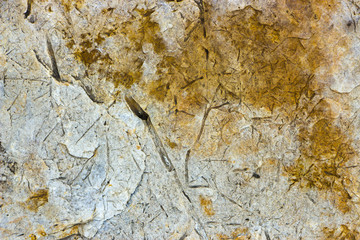 Tuff is a vulcanic stone.  close-up background texture