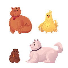 Fat, chubby cat, dog, chicken and hamster, cartoon vector illustration isolated on white background. Overweight domestic animals, chubby pets, obese cat, dog, hamster and chicken