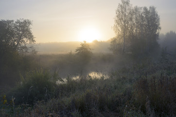 Autumn morning