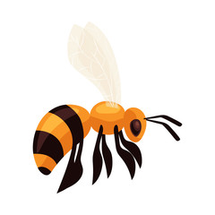 Flying honey bee, cartoon style vector illustration isolated on white background. Realistic drawing of a bumble bee flying to the hive, apiary icon