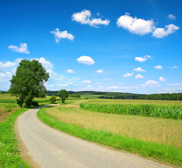 Fototapeta na wymiar Road in rural landscape in Czech Republic.