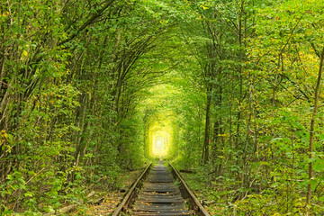 Old railway line. Nature with the help of trees has created a unique tunnel. Tunnel of love - wonderful place created by nature. Klevan. Rivnenskaya region. Ukraine