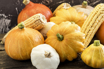 Close up beautiful yellow and white pumpkins and corn 