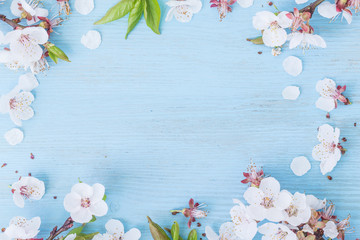 Spring flowers on light blue background