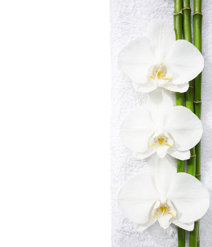 Three  orchids and branches of bamboo  lying on white towel. Viewed from above. Spa concept.