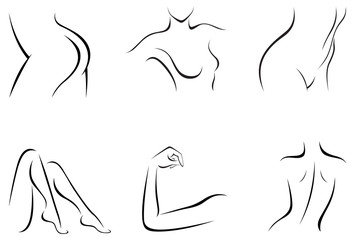 Vector illustration of set of stylized female body parts