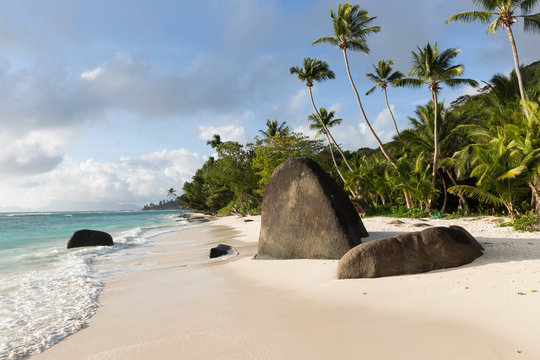 Tropical Beach Silhouette Island (Seychelles)