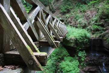 Fußgängerbrücke im Schwarzwald