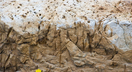 Tuff is a vulcanic stone.  close-up background texture