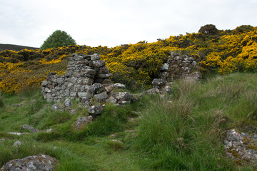 Derelict Cottage