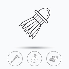 Fitness sport, biceps and baseball icons.