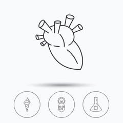 Newborn, heart and lab bulb icons.