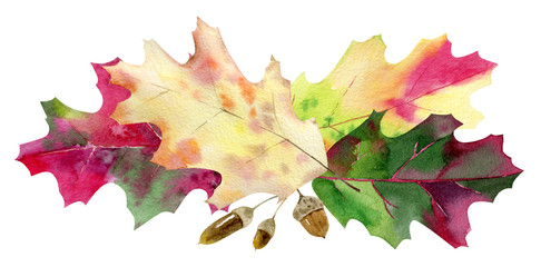hand painted watercolor mockup clipart template of autumn leaves