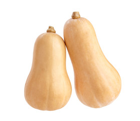 Butternut squash isolated on a white background