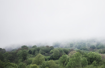 Panorama  horizon view of scenery foggy hills Northern Spain forest. Sunset in the mountain natural autumn landscape park. Green valley on background dramatic sky and clouds. Travel mockup concept 