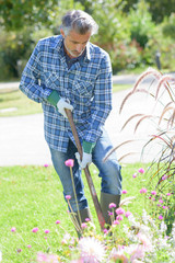 Gardener using spade