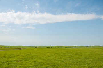 Wide open rural prairie landscape in summer