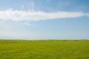 Foto auf Acrylglas Wide open rural prairie landscape in summer © pimmimemom