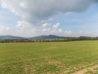 Field and deciduous forest