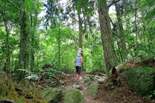 Father with little daughter on his shoulders hiking on Wairere Falls Track, New Zealand.