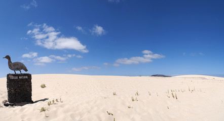 Fuerteventura, Isole Canarie: l'insegna a forma di uccello del parco naturale delle dune di sabbia di Corralejo il 29 agosto 2016