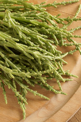 Samphire a coastal herb also known as sea beans glasswort pickleweed or Salicornia