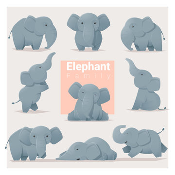 Set of Elephant family , vector , illustration © littleartvector