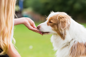 girl gives a dog a treat