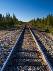 Fototapeta premium Train Tracks