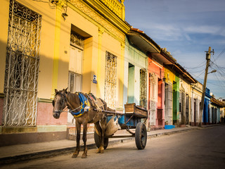 Cuban Scenes