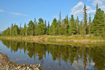 Fototapeta na wymiar Summer river landscape in the national Park 