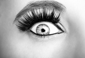 Beautiful insightful look monochrome woman's eye