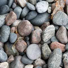 Small stones, Newfoundland, Canada