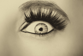 Beautiful insightful look  woman's eye. Vintage style