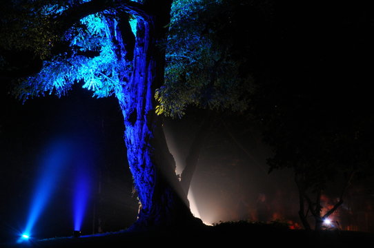 Illumination