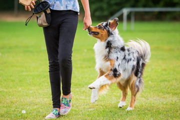 girl with dog on a dog training field