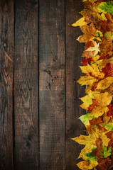 Naklejka na ściany i meble Autumn yellow red green leafs border frame on dark brown barn wood planks background. Vertical postcard template. Empty space for copy, text, lettering.