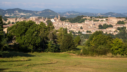 Fototapeta na wymiar view of Urbino and its hills in a summer day