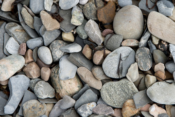 Rocks and Pebbles, Bonne Bay, Gros Morne National Park, Newfoundland, Canada
