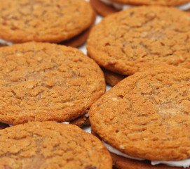 Oatmeal Sandwich Cookies Isolated on a White Background