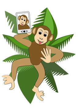 Cute funny monkey making selfie in the crown of a palm tree, illustration for children
