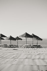 Beautiful view of beach with wicker umbrellas on the sunny sky outdoors background