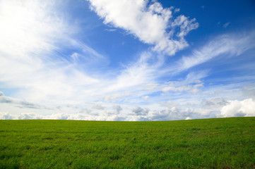 Fototapeta na wymiar 草原と青い空